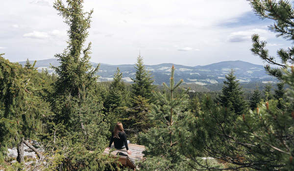 Wandern zum Reithkogel ©Line Sulzbacher