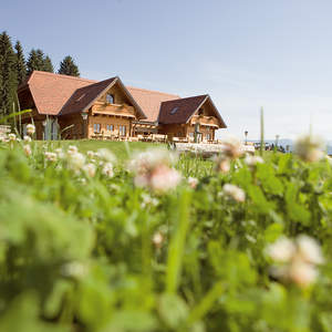 Kraftpfad von Wenigzell nach St. Jakob im Walde in der Region Joglland-Waldheimat