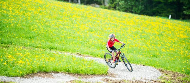 Trail Land Miesenbach (C) RGE Media