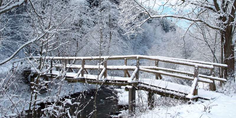 Winteridylle (C) Bayer Heinz