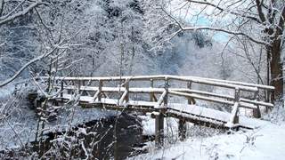Winteridylle Mönichwalderhof